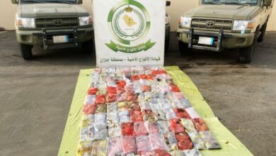 المهربون أخفوا الحشيش في شحنة أعلاف. (واس)