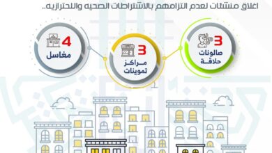 بلدية صفوي