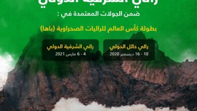 بطولة رالي كأس العالم للراليات الصحراوية