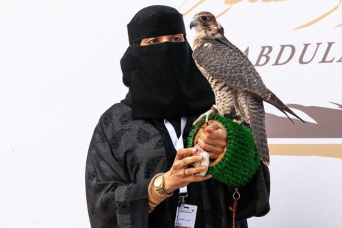 الصقارة السعودية عذاري الخالدي