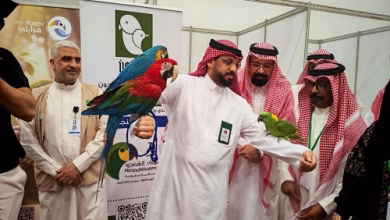 معرض متحدون