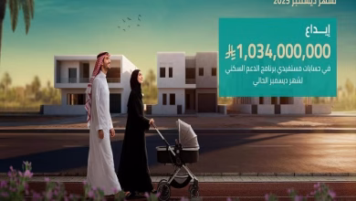 صندوق التنمية العقارية